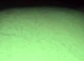 this milf casually sucked on my ass and ate out my asshole like it was nothing