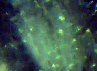 Here is more of my product to reach you