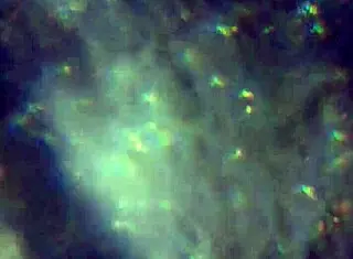 Here is more of my product to reach you