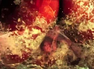 hey, check out this vintage pussy and pooch action outdoors with hairy retro antique vibes 😏🐶