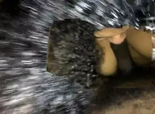 BBW大胆吸肥鸡巴激烈深喉