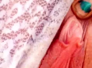 A Marilyn Monroe Style Outdoor Masturbation with Big Tits and Dildo Play