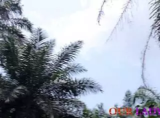 african chief priest uses traditional methods to get wife pregnant by fucking her outdoors in threesome with husband watching and boss involved