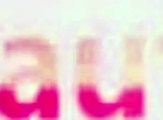 oh yeah these hot lesbians are licking each other wildly out in nature with toys and passion