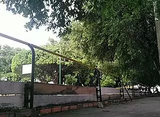 Let's head to the public park and start touching our intimate parts while kissing passionately, getting each other off