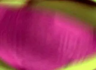 Playing With Stepsister Leads To Full Penetration Story