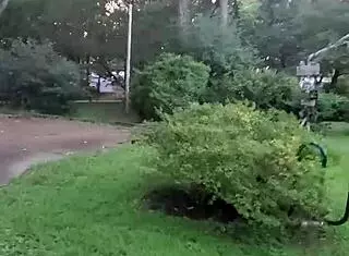 Impregnablelexa how does wolfdaddy901s dick feel bareback with creampie in public park redhead crossdresser?