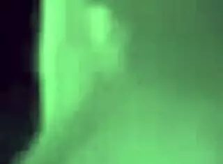 Why are you sucking my big black cock so hard?