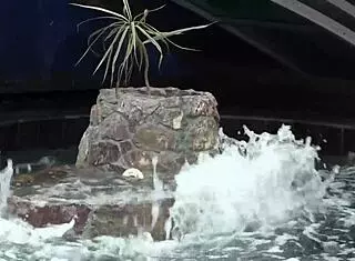 Playful Lesbian Teens Love Playing With Shaved Pussies At Swimming Pool