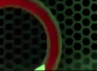 nadia white, how do you feel getting rimmed by that big black cock before riding it cowgirl style?