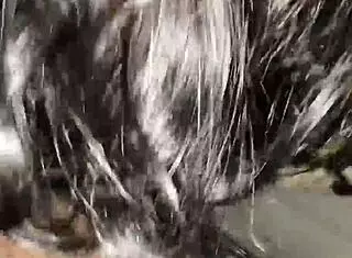 i love giving good sloppy head on that monster big black cock