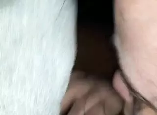 woman enjoying time with amanda