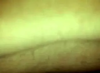 Karina and Lucas show how married women excel at sucking dick and swallowing cum in homemade fun