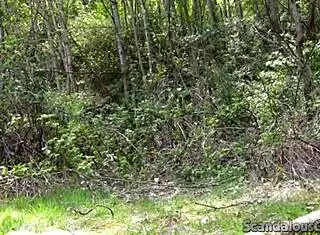 Blonde girlfriend delivers deep blowjob to boyfriend's big cock in outdoor homemade sex tape