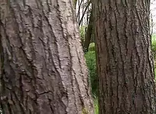 Deniska Feels So Thrilled And Aroused Playing Kinky Outdoor Games With Masked Men In Wild Blowjob Group