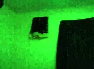 Adventures Of Cubby The Porn Hubby 😂