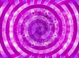 embarking on a fresh start this year with a quick preview