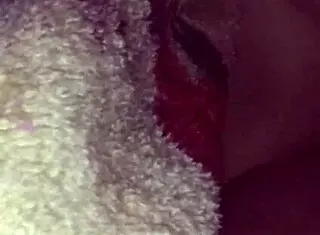 Amateur Latina Gets Bent Over for Homemade Doggystyle Sex in Mexican Style