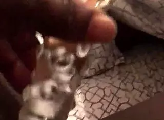 intriguing caribbean accent clip with unique moaning sounds in trimmed video file