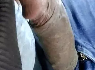 nri canadian college girl enjoys wild ride with brother in car bent over doggystyle rough!