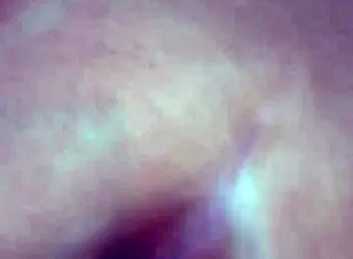 hey bbw latina, you bending over for doggystyle like that?