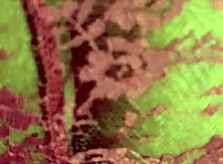 Ms Mystery shaking her monster ass on Mr Eastcyde like crazy