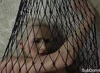 Dominated Euro Trapped in Web by Maledom! Bound and Humiliated in Rough BDSM Session!