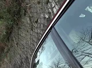 japanese mature milf engages in outdoor sex with big natural tits