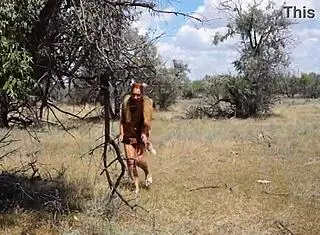 Hey shy aboriginal milf, why not dance outdoors in cosplay costume? Isn't that tempting for some mature amateur fun?