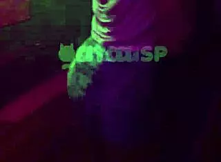 Casada meets two young guys at the club, teases in front of her husband, takes them to the car, and then fucks on the street.