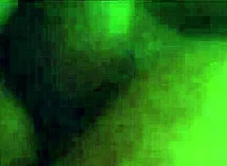 Young Bull Pounds Mexican BBW Wife's Wet Pussy In Doggystyle