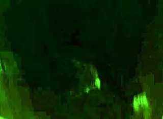 Wife, I'm giving you this blowjob and handjob right now