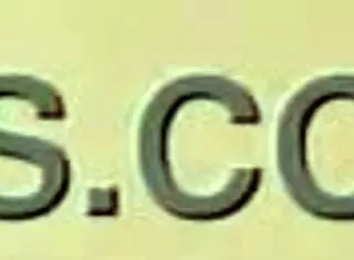 Detailed View of Amateur Mature Couple's Hairy Pussy Licking and Cunilingus Action