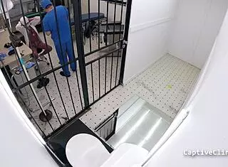 Channy Crossfire hints at intense anal gaping with small tits and fetish play in a tanned latex setup