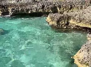 莫妮卡福克斯停游巴士海里裸泳巨假奶晃荡