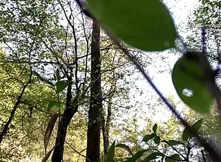 i feel so excited masturbating my wet clit outdoors in the forest for homemade solo orgasms with flashing and exhibitionist vibes