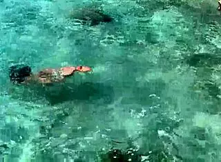 Monika Fox Stops Tour Bus For Naked Swim In Sea With Big Fake Tits