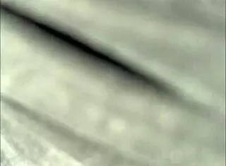 嘿邻居，来肏我大屁股拉丁骚体热辣性爱