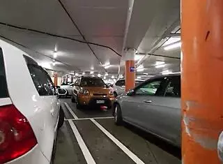 Trashy Kiwi slut flashes her tattooed body and pierced pussy at the mall! She teases on a busy public street like a dirty submissive bitch.