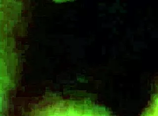 unexpected cum inside her tight pussy with dripping load and surprised reaction