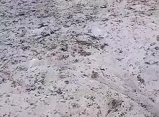 i fucked the pretty girl that lost her way in the bush