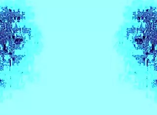 Mexytarte在GDL诱人选角试镜