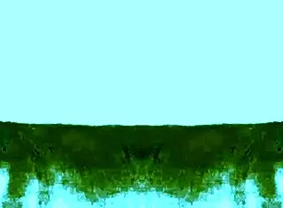 Mexytarte在GDL诱人选角试镜