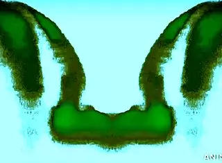 Mexytarte在GDL诱人选角试镜