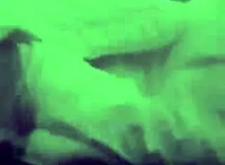 In a casual homemade session, the amateur couple dives into intense pussy rimjob and raw fucking for ultimate pleasure.