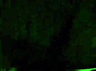 in this close-up scene, a milf with a big ass bends over for doggystyle action with a monster cock leading to a creampie finish