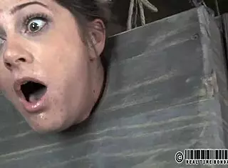 Intense Sadomasochism Tales With Femdom Action