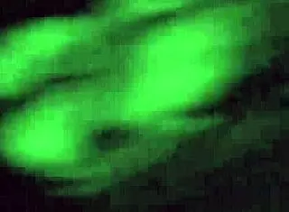 busty besties in army uniforms sharing dick in homemade group action