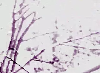 hey aprilbigass, loving this chat content 86 on fikfap in 4k 60fr from apr 24 2025