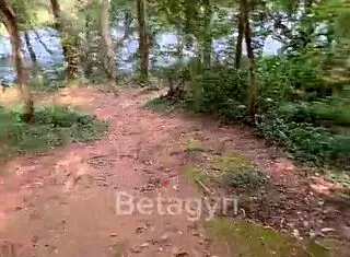 公园户外快速野战猛插